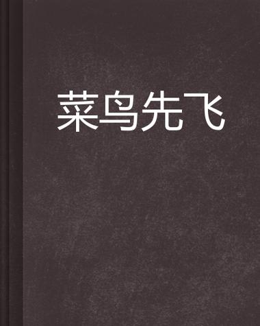 菜鸟先飞